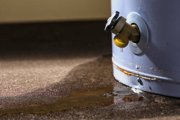 Carpet water damage restoration in Homestead Valley, CA