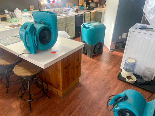 Best Water damage restoration cost  in Homestead Valley, CA