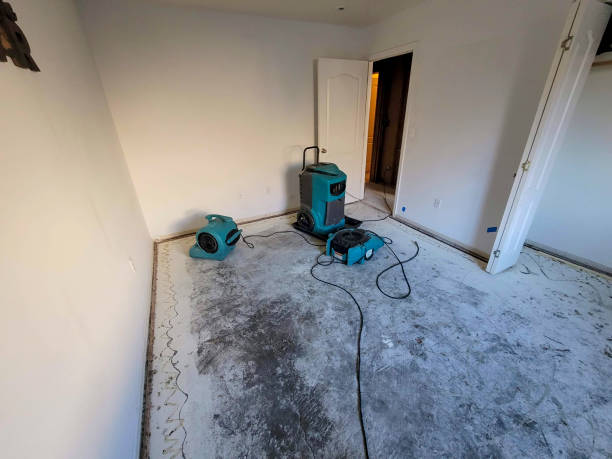 Best Flood restoration services  in Homestead Valley, CA