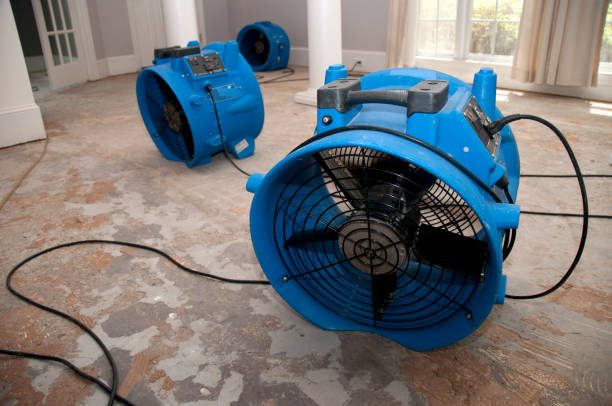  Homestead Valley, CA Water damage restoration Pros