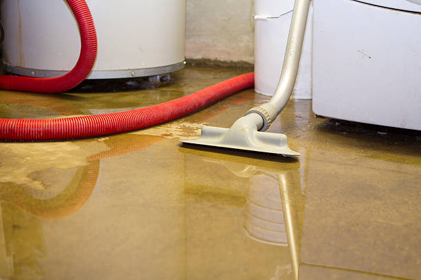 Best Flooded house restoration  in Homestead Valley, CA
