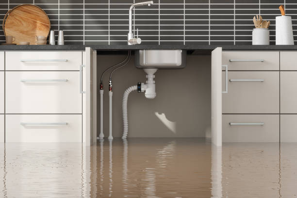 Best Flood damage cleanup  in Homestead Valley, CA