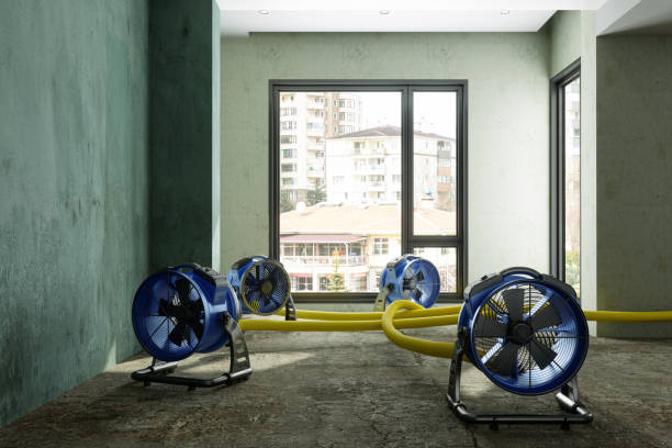 Best Carpet water damage restoration  in Homestead Valley, CA