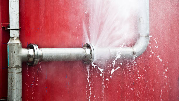 Best Commercial water damage restoration  in Homestead Valley, CA